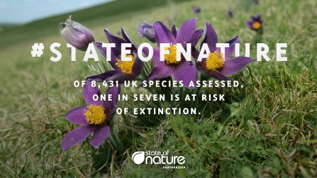 State of nature - 1 in 7 species at risk of extinction