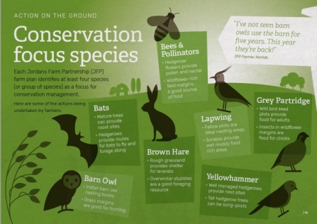 Jordans Farm Partnership Conservation Focus species Infographic