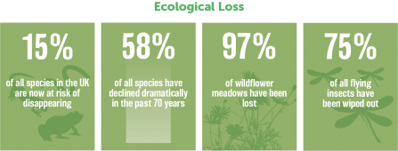 Ecological Loss - 100 Miles Wilder