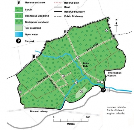 Brampton Wood | Wildlife Trust for Beds, Cambs & Northants