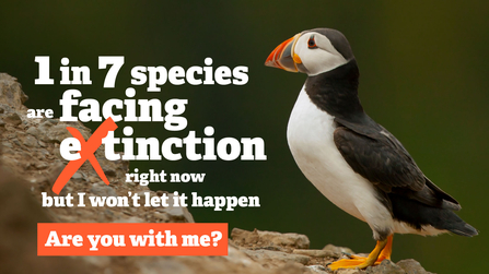 1 in 7 species are facing extinction