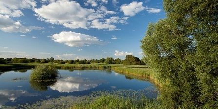 Great Fen - Mark Hamblin/2020VISION