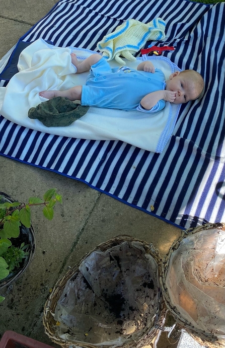 Arthur watching mum planting in the garden