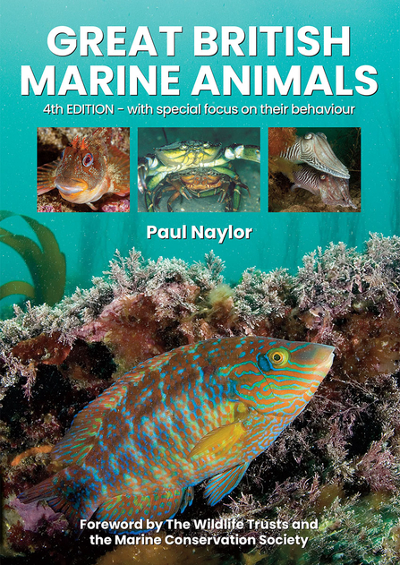 Great British Marine Animals by Paul Naylor book cover