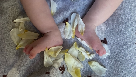 Baby Arthur with rose petals