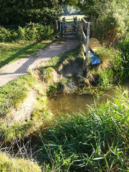 Grantchester Meadows River Bank 3 - Ruth Hawksley