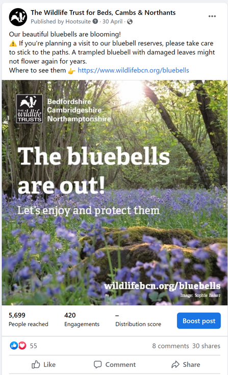 Our Social Highlights - Bluebells