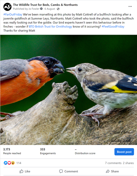 Our Social Highlights - Bird Behaviour