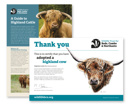 A picture of the certificate and fact file you'll get when you adopt a Highland cow