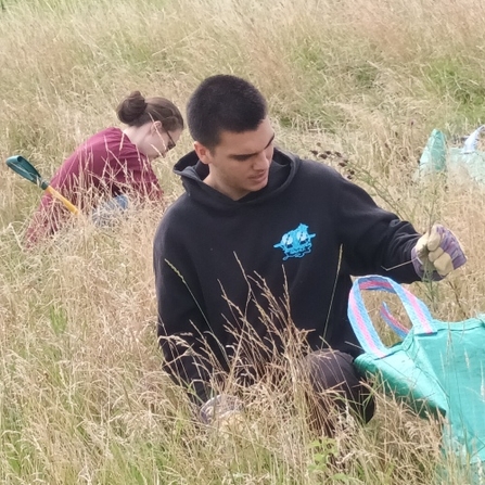 Two people pulling ragwort on a wild work day 