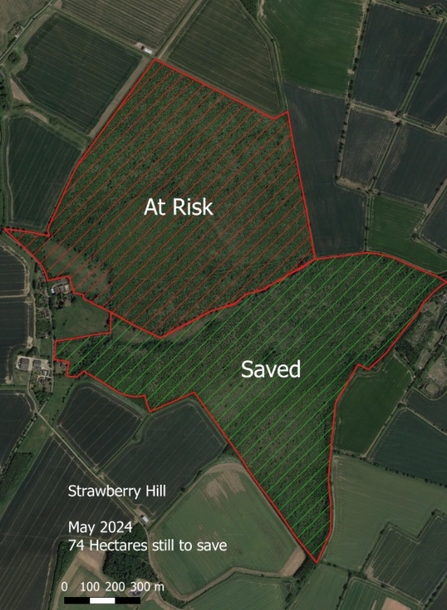 Satellite map showing the boundaries of the "saved" half and the "at risk" half of the site