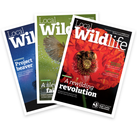 A fan of three covers of Local Wildlife magazine