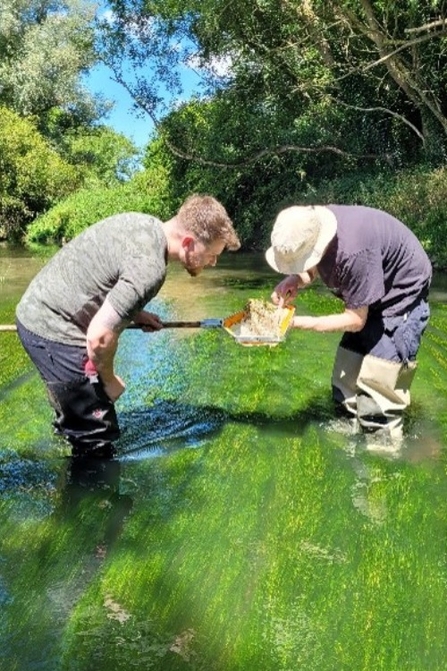 A volunteer and tutor in a river training the Riverfly technique, looking into a net