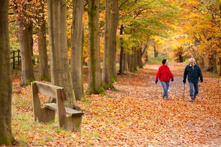 Two people walking through autumnal woods, with lots of red and orange leaves on the ground