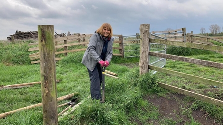 Barbara Cracknell volunteering at the Great Fen