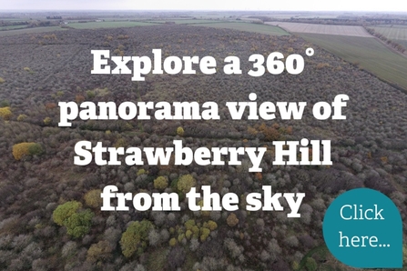 Explore a 360 degree panorama view of Strawberry Hill from the sky