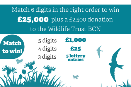 Match 6 digits in the right order to win £25,000 plus a £2,500 donation to the Wildlife Trust BCN. Match to win! 5 digits £1,000, 4 digits £25, 3 digits 5 lottery entries