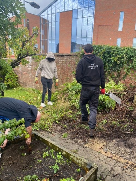 Staff member and two adults gardening