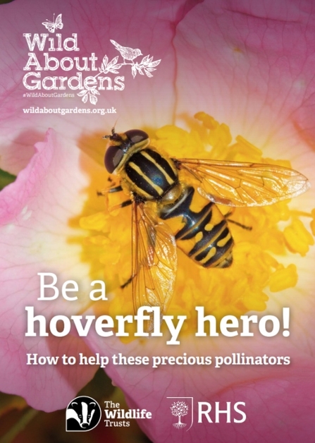 Wild About Gardens 2025 front cover: Be a hoverfly hero