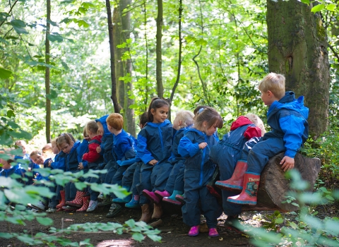 Forest school