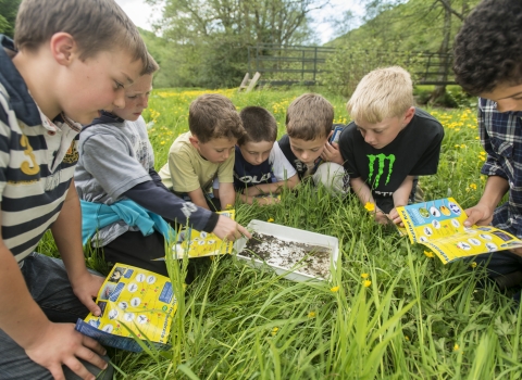 Children doing invertebrate identification - Ross Hoddinott/2020VISION