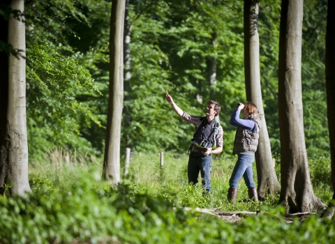 People surveying woodland