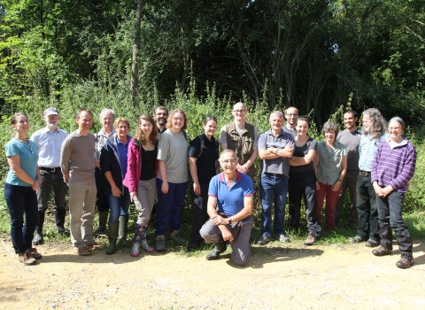 Ecology Group volunteers at Brampton Wood NR