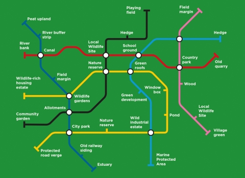 Nature Recovery Map visualised as a tube map