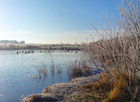 Cambourne winter