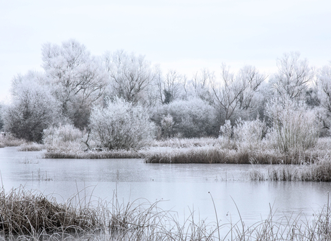 Image of Felmersham Gravel Pits in winter