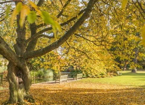 Cambridge University Botanic Gardens