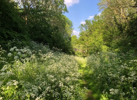 Farthinghoe in Spring