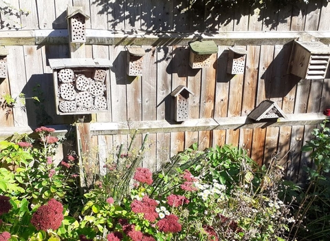 Multiple bug houses put up on a garden fence above a border full of plants