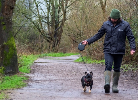 Man walking dog