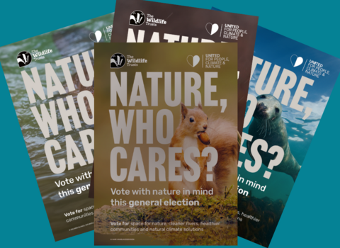 A collection of Nature, Who Cares? posters