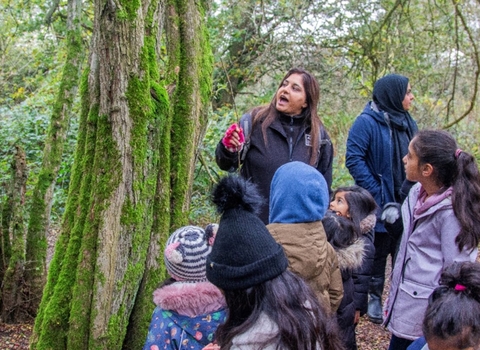 Luton Little bugs session in a woodland