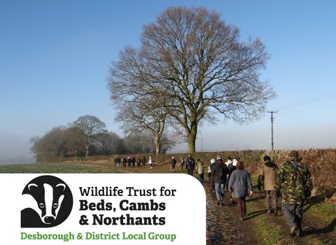 Desborough local group logo overlaid onto an image of a large group of people walking away from the camera along the edge of a field