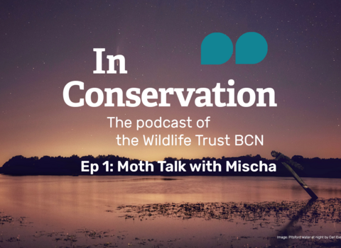 In Conservation, podcast episode 1