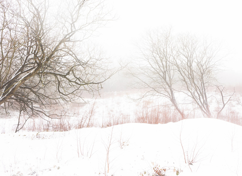 Snow covered landscape at Old Sulehay